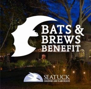 Bats and Brews Benefit Festival - held 10/21/23