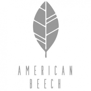 American Beech