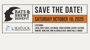 2025 Bats and Brews Festival - COMING OCT. 18